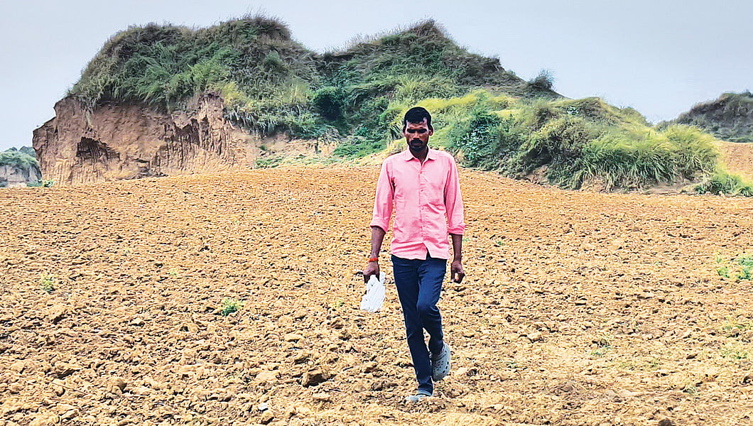 Chambal Ravine Encroachment: Farmers Flatten Fragile Badlands for ...