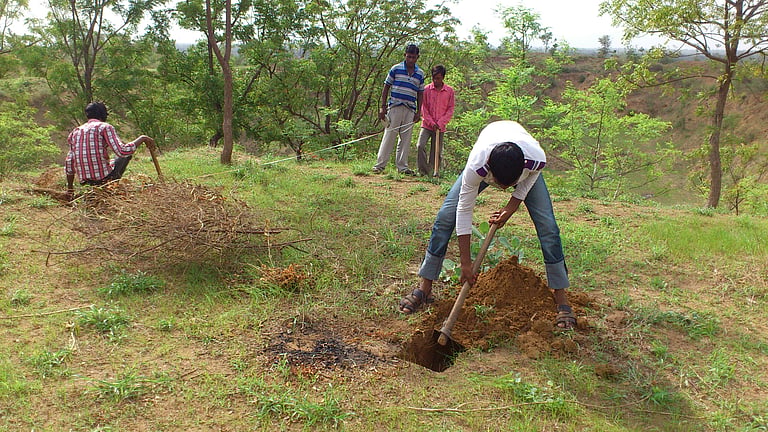 From ruins to harvest: 50 years after devastating floods, Gujarat ...