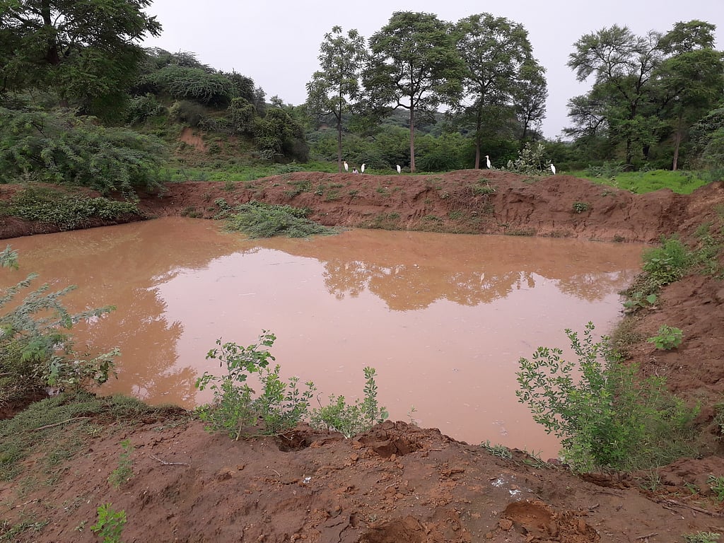 From ruins to harvest: 50 years after devastating floods, Gujarat ...