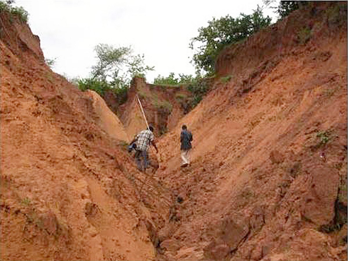From ruins to harvest: 50 years after devastating floods, Gujarat ...