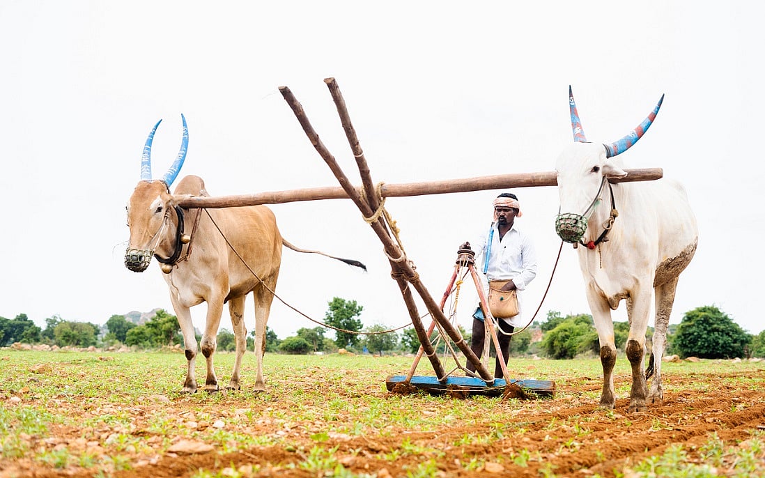 India Farm Suicides 2024: One Death Every Hour Despite Marginal Dip ...