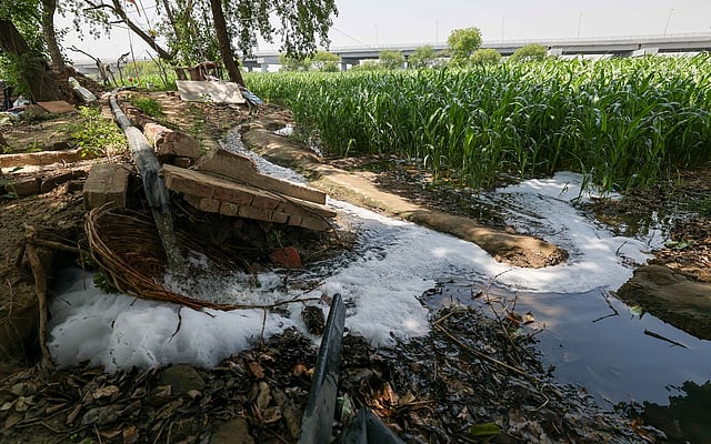 Wastewater Irrigation in Delhi’s Najafgarh: Farmers Weigh Cheaper Water ...