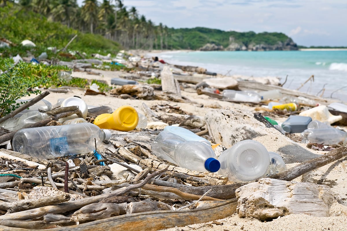 Global Microplastics Regulations: How Governments Are Rewriting the ...