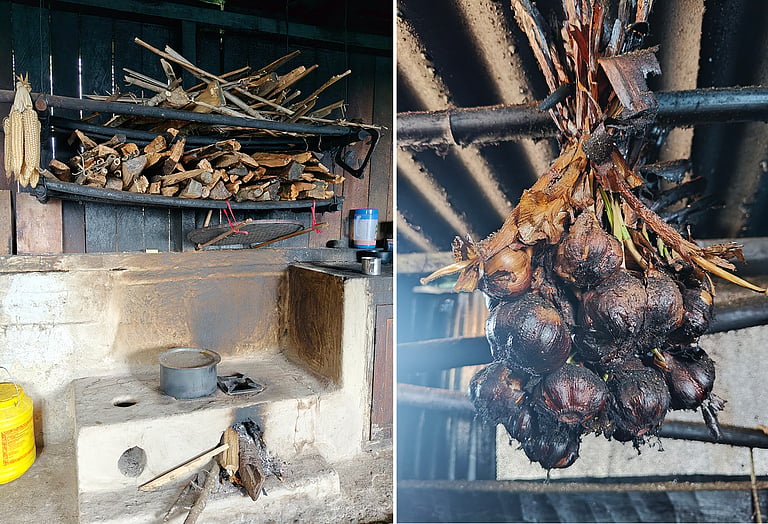 World Food Day: Why indigenous seed preservation knowledge matters