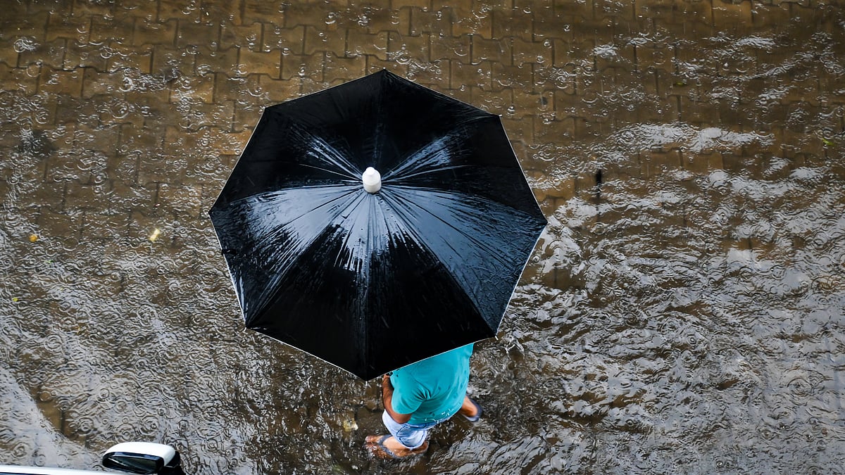 Cyclone Arnab Intensifies: Heavy Rain and Strong Winds Alert for Andhra ...
