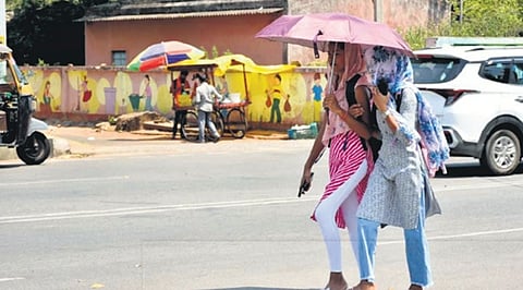 District collectors need to ensure compliance by schools