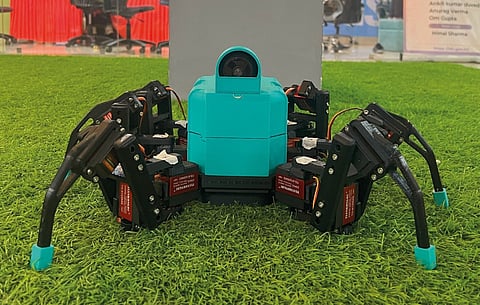 The victorious robot 