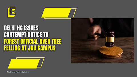 The court's order stems from a 2022 directive requiring tree officers to provide detailed reasons for felling even a single tree