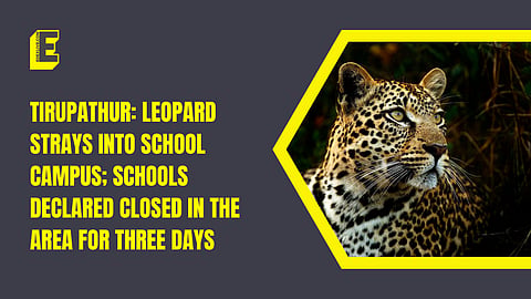 Leopard at a school in Tamil Nadu?