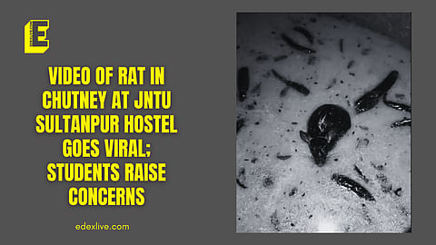 Rat in chutney at JNTUH