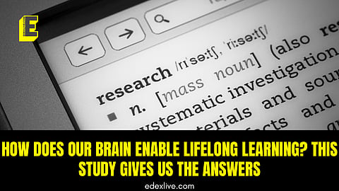 The study's results help explain why all animals require sleep