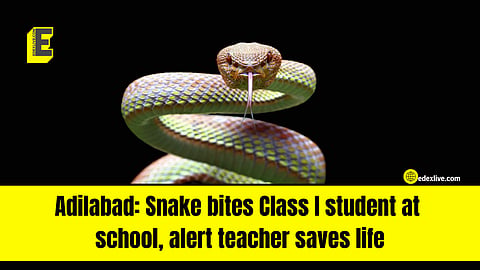 This is how the teacher saved the student's life