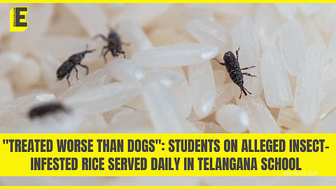 What else do students have to say?