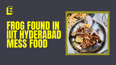 IIIT Hyderabad: Students find frog in biryani served in hostel mess