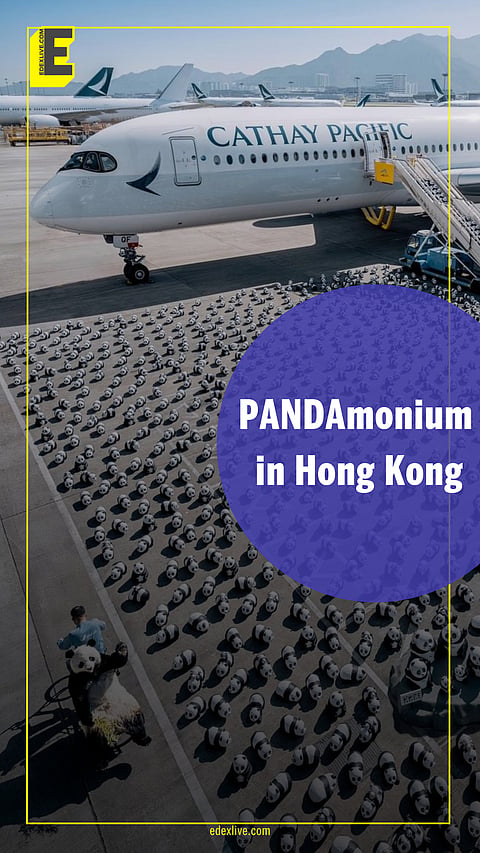 Hong Kong is throwing a Panda Party and you are invited!