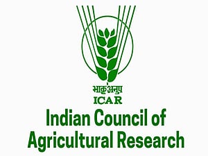 ICAR panel to study Totapuri mango price crash in Andhra Pradesh
