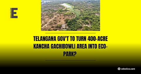 The Kancha Gachibowli site deforestation