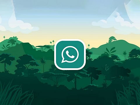 Seniors beware: Even WhatsApp harassment of juniors to count as ragging