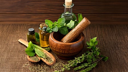 Kerala to set up standalone AYUSH University; panel to draft Bill