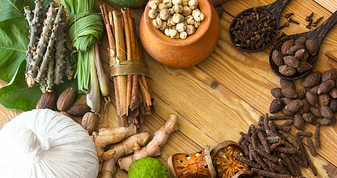 Govt plans to integrate Ayurveda into school, college curricula