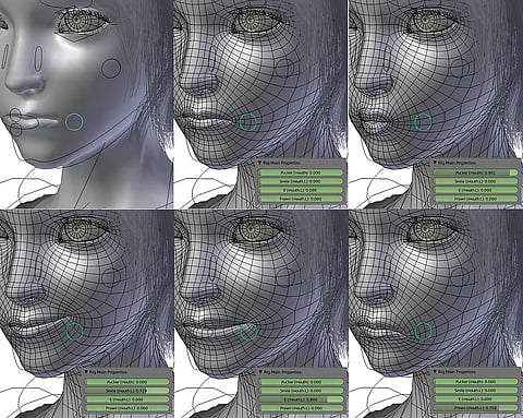 Facial morphing techniques 