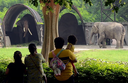 Representative Image (Delhi zoo)