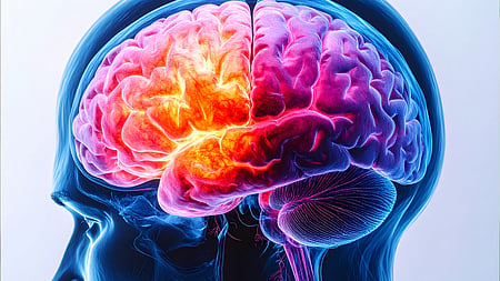 Scientists reverse Alzheimer's disease in animals