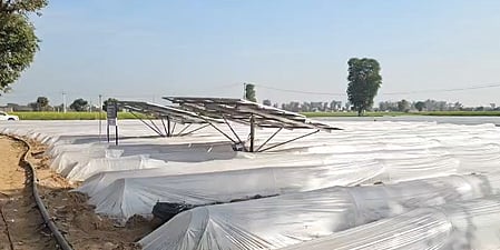 India, New Zealand discuss ways to enhance co-operation in horticulture