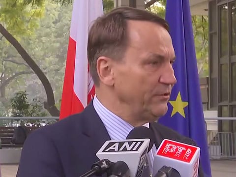 "We seek new trade partners amid increased tariffs, India willing to engage": Poland Dy PM 