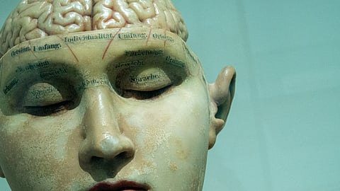 Train your brain like your muscles — neurologist explains how 