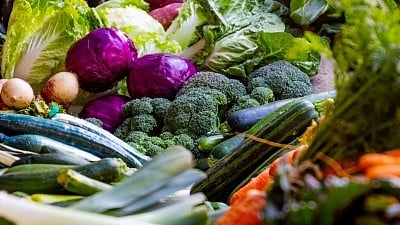 Study ties healthy diet in middle age to improved brain function