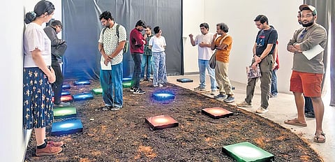 Exhibition highlights breaking forest landscapes