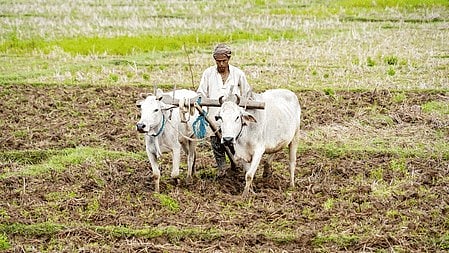 SKUAST launches rural exploration programme for agriculture education