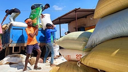 New labour codes to boost legal rights, social security, safety of dock workers