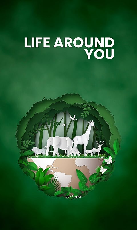 International Biodiversity Day 2026: What biodiversity means and how local actions help
