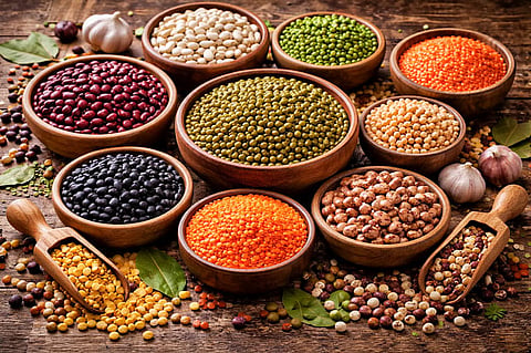 Nutrition insights for gastrointestinal conditions