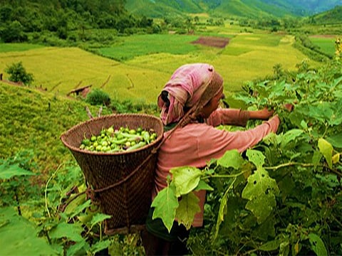 NEC Spends Rs 339.06 crore on development projects in Mizoram during 15th Finance Commission period