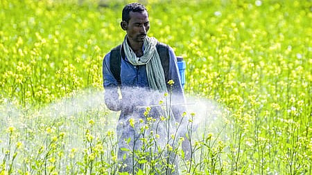 Centre steps up El Nino preparedness, forms crop watch groups