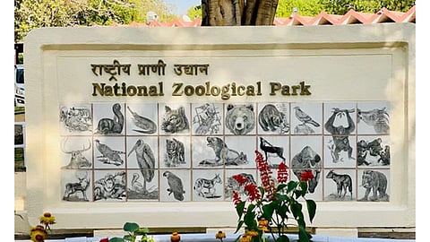 Delhi Zoo (representative Image)