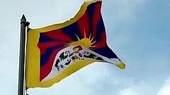 China reshaping Tibetan identity through education system: Report