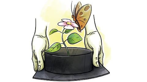 Representative image