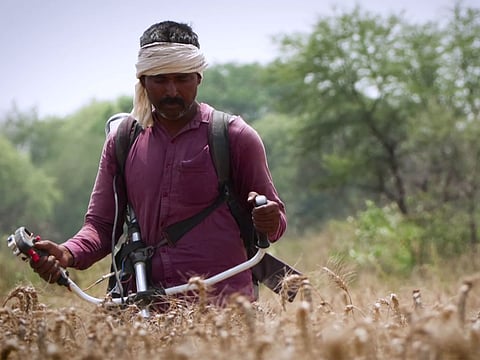 How a battery-powered machine is tackling stubble burning