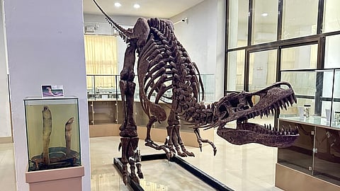 Centre notifies Mizoram museum as 21st national repository