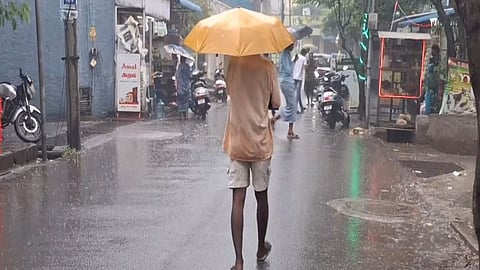 HP: Schools, colleges shut in Sirmaur, Solan amid heavy rains