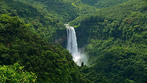 Rs 6 crore aid approved for development of urban forests in Goa