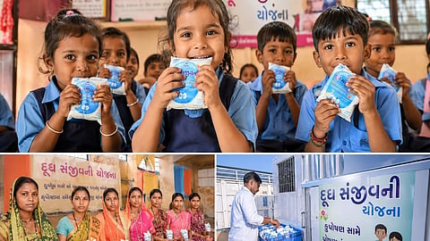 Gujarat expands Doodh Sanjeevani Yojana to all tribal ICDS blocks