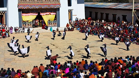 Ladakh to host India's first Black-Necked Crane Festival