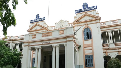 Gujarat's CSMCRI scientists among world's top 5% researchers in SciRank Global Registry 2025