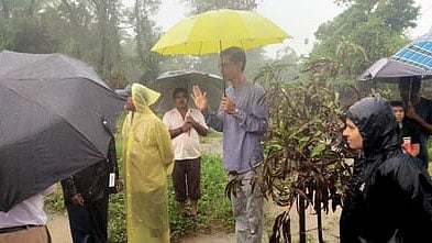 Scientists help South Gujarat farmers revive flood-hit orchards