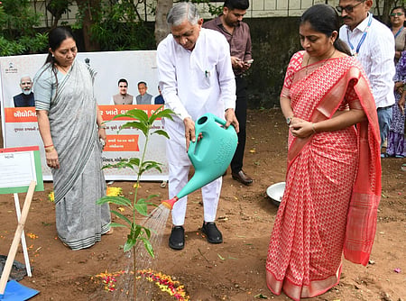 More than 10,000 trees planted at govt ITIs across Gujarat